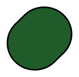 shape